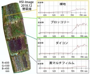 図6 HSI画像と観測されたスペクトル